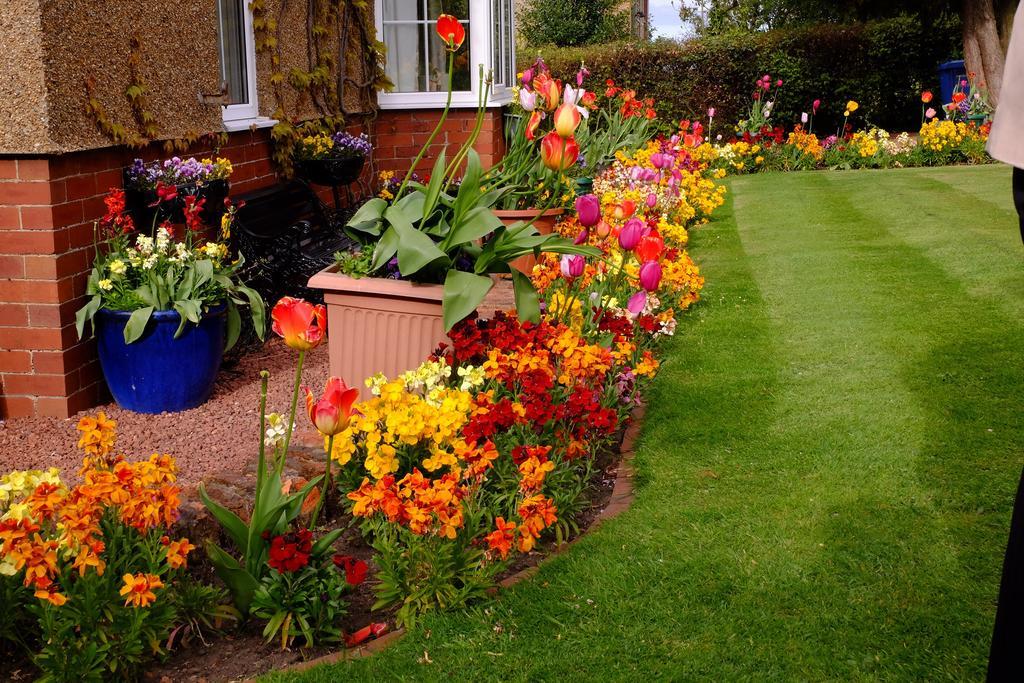 Bed and Breakfast Reighamsyde House Alnwick Exterior foto