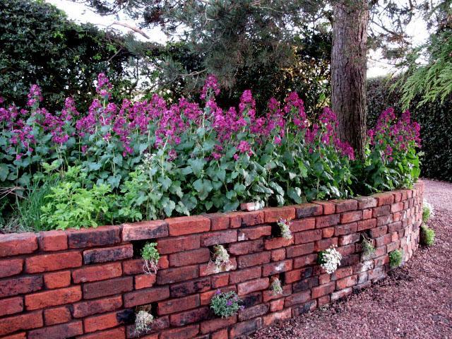 Bed and Breakfast Reighamsyde House Alnwick Exterior foto